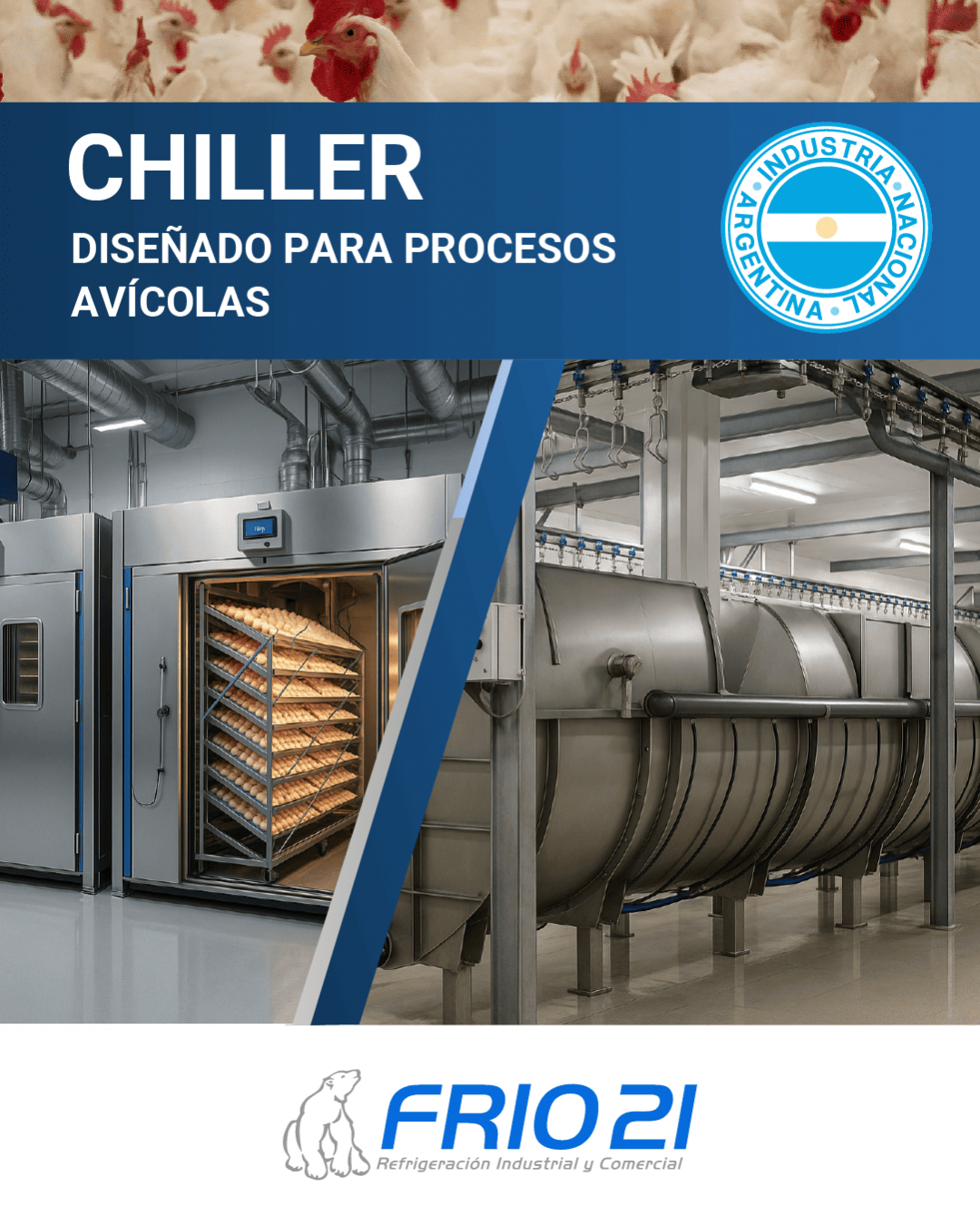 Enfriamiento industrial para plantas avícolas: control térmico en líneas de procesamiento de pollos