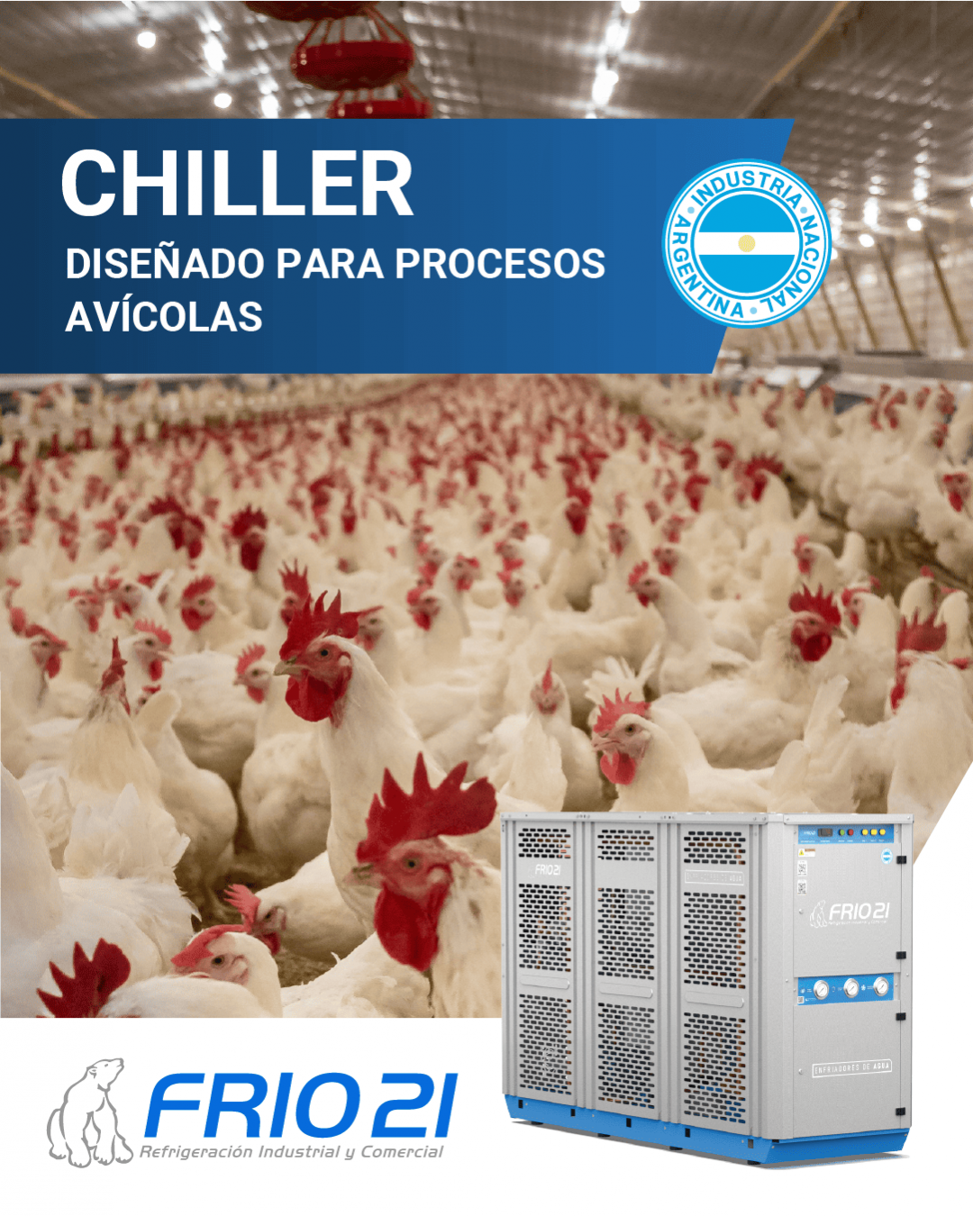 Enfriamiento industrial para plantas avícolas: control térmico en líneas de procesamiento de pollos